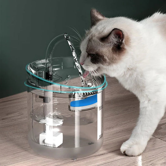 Cat Drinking Fountain